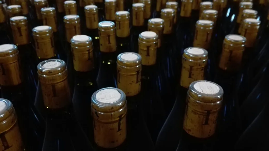 Botellas Ikal encapsuladas, listas para despachar